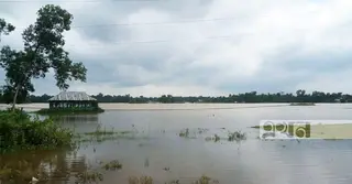 ব্রাহ্মণবাড়িয়ায় উজানের পানিতে তলিয়ে গেছে ২৫০ হেক্টর ফসলি জমি